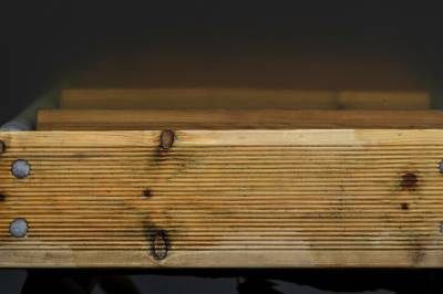 Ekstrem oppblomstring: - Aldri sett liknende