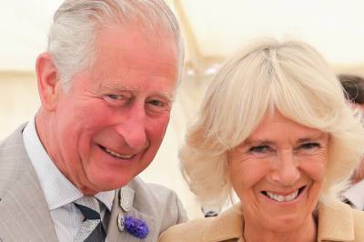 Nye bevis fremlagt: Her er kongeparets ukjente sønn