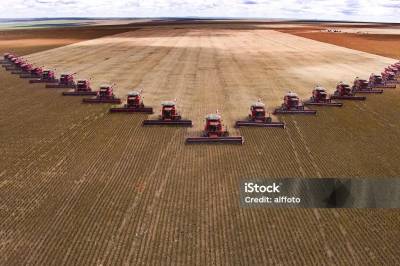 Sitkalaksen kommer ikke