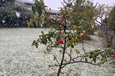 Første snø i Oslo