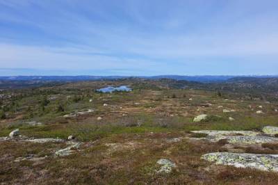 Har sendt inn de første planene. Kritiker kaller det «indu­stri­område i heia».