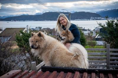 Testar fyrverkeri i halve desember - naboar fortvilar