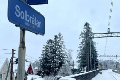 Feller trær langs toget: – En fare for folk