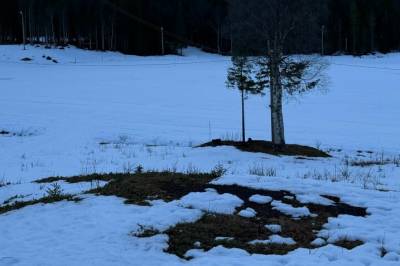 Slår alarm: - Det røyner på