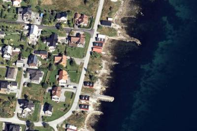 Funn av hodeløst dyr