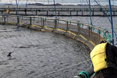 Vi bør ikke basere matpolitikken på utdatert fryktpropaganda