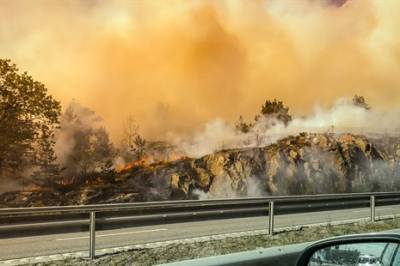 Røyk fra skogbranner og helse