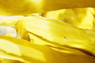 – Det finnes ikke en matrett den ikke virker på!