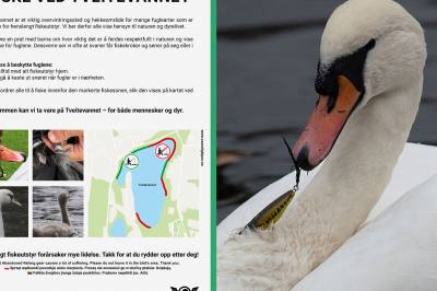 Nye skilt ved Tveite­vannet: – Ta omsyn!