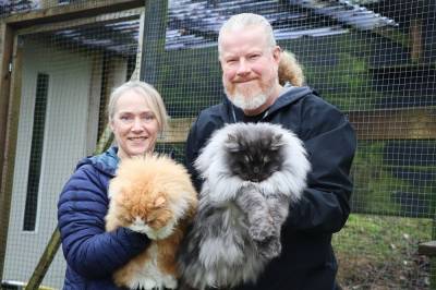 – Vi er crazy cat people. Men vi skulle jo bare ha én