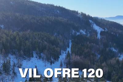 Vil ofre 120 fotballbaner med skog for industri