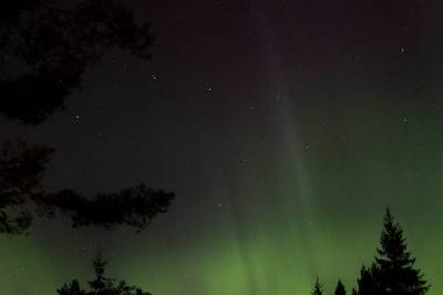 Til hvilket stjernebilde tilhører Karlsvogna?