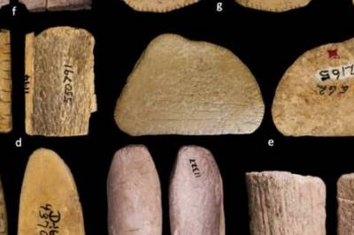 Slik så terninger ut for 12.500 år siden, mener forsker