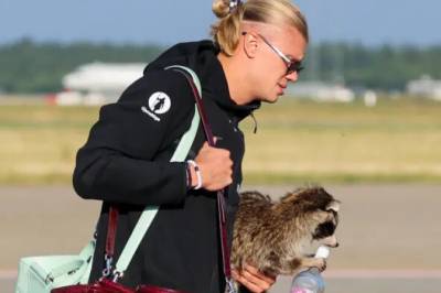 - Den må være død