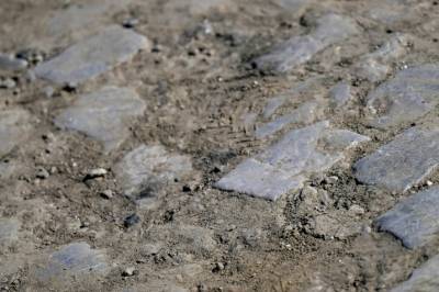 Slår alarm: - La dem ligge!