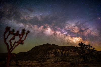 Ny, revolusjonerende teori: Slik ble grunnstoffene til