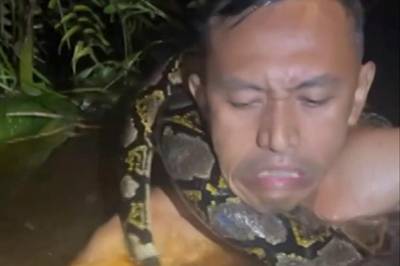 Blir dratt i vannet av pytonslange: - Den er stor!