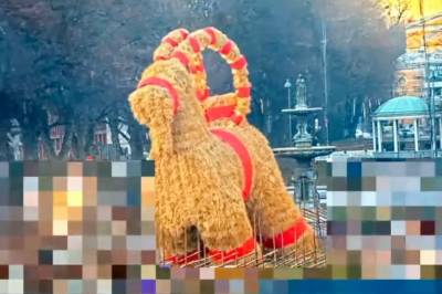 Her velter Gävlebukken