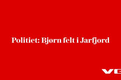 Politiet: Bjørn felt i Jarfjord