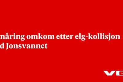 Tenåring omkom etter elg-kollisjon ved Jonsvannet
