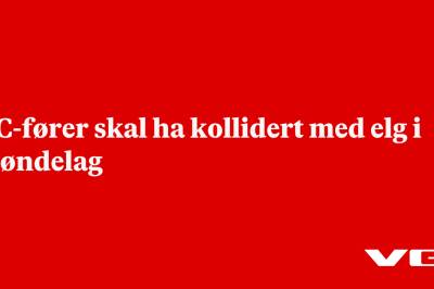 MC-fører skal ha kollidert med elg i Trøndelag