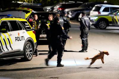 En tredje person pågrepet etter skytingen på Holmlia