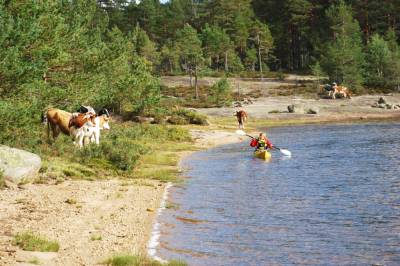 Kulturorienteringspostene ligger nå ute: Lover deg fine turopplevelser rundt Ogge &bull; Birkenesavisa