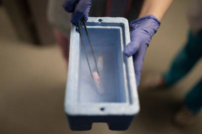 Ukraina betaler for at soldater kan fryse ned sæd