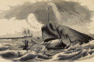 Forskere har endelig filmet noe som sjøfolk har fortalt om i hundrevis av år