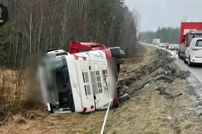 Derfor tok de førerkortet