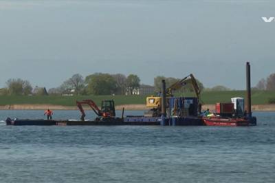 Nytt forsøk: Skal redde redde kjendishvalen Timmy