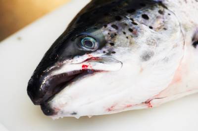 Laveste handelsoverskudd siden pandemien