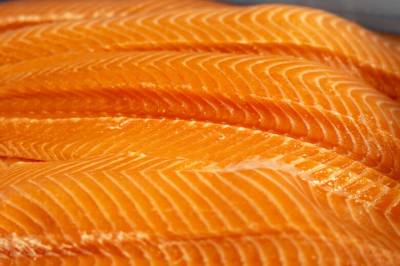 Ny studie: Urovekkende laksefunn