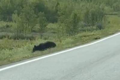 - Å fytti helvete!