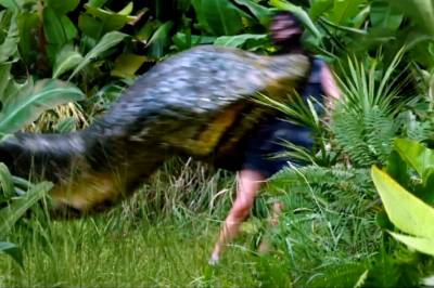 Her går «anacondaen» til angrep