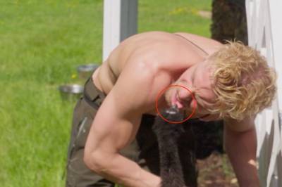 Ekspert advarer mot «Farmen kjendis»-dyr: – Kan absolutt forsvare seg