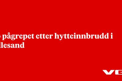 To pågrepet etter hytteinnbrudd i Lillesand