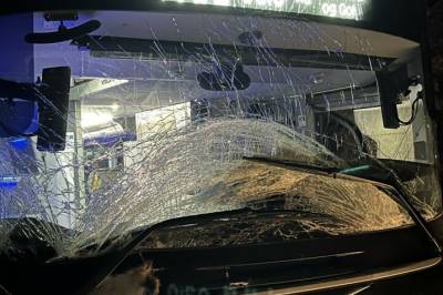 Buss kjørte på elg: - Totalskadd