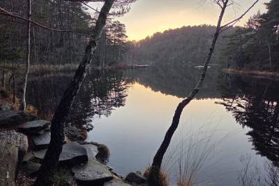 Er ofring av natur den rette veien til et grønt skifte?