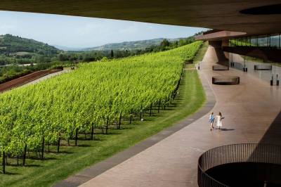 Tyver stjal vin for 50 millioner kroner i Italia