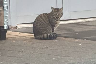 Pus(s)ig situasjon på Coop: – Den er innom nesten daglig