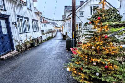 Ekstremt mild desember: – Åtte grader over normalen