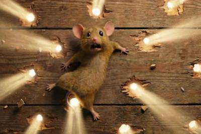 Markedstilskudd til familiefilmer, en oppfølger og en katastrofefilm.