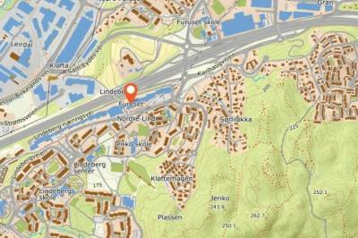 Hundeangrep: - Var sikker på å bli drept