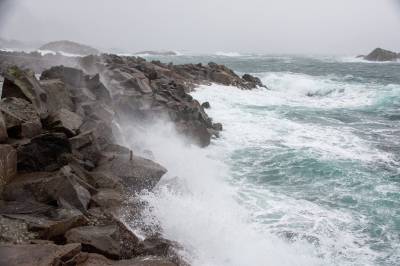 God morgen, Lofoten! Innstilte ferger, sterke vindkast, kraftig regn, VM i skreifiske og musikkquiz