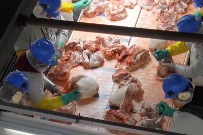 Dokumentar: Food, Inc. 2