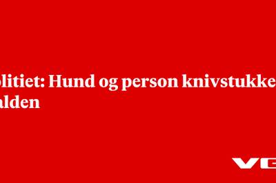 Politiet: Hund og person knivstukket i Halden