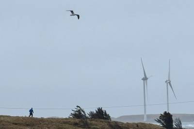 Uværet «Dave»: – De kraftigste vindkastene er over