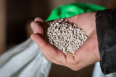 Krigen kan gi høgare gjødselprisar: – Alvorleg for verda si matproduksjon