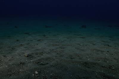 Nei, bunntråling har ikke like store utslipp som flytrafikk